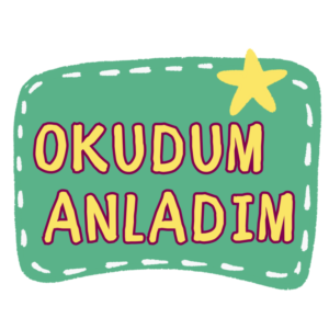 Okudum Anladım